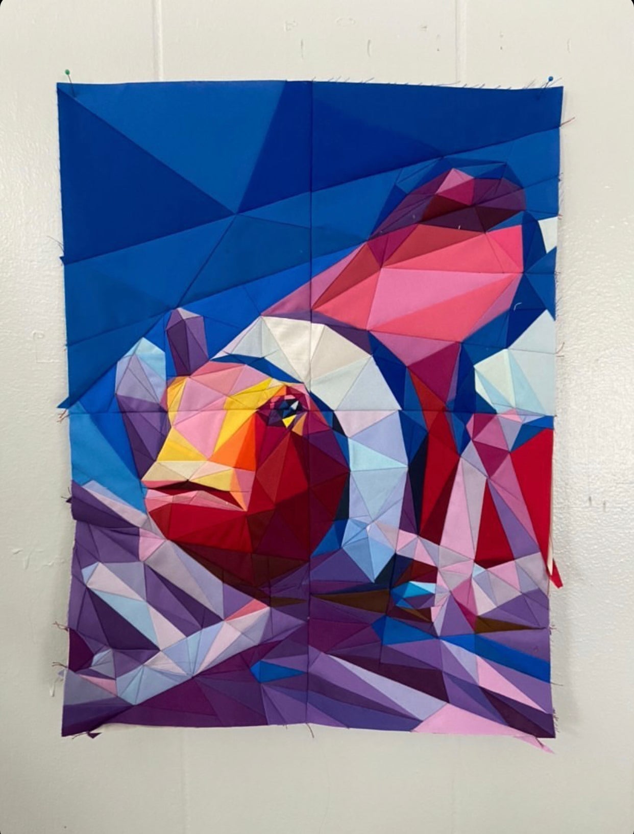 Clownfish Quilt Kit