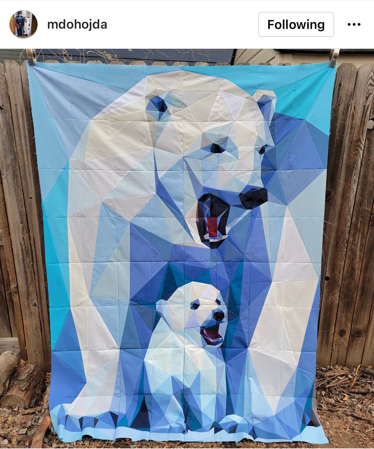 Ursula Major & Minor Quilt Kit