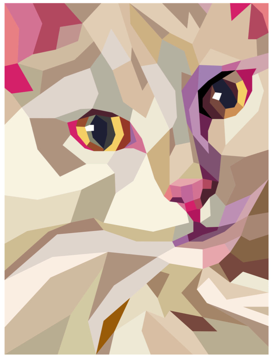 Drum the Cat Quilt Kit
