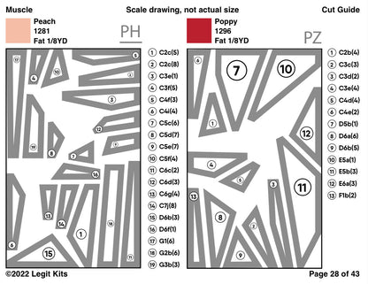 Muscle Pattern