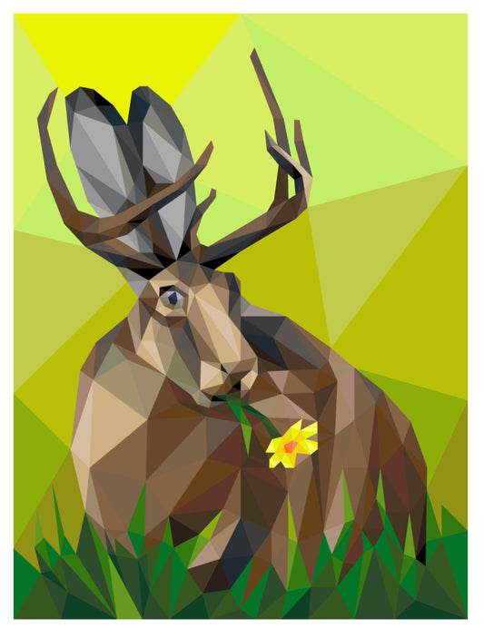 Jackalope Fabric Pack